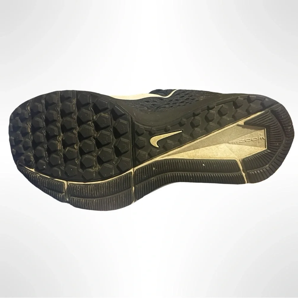 Nike zoom winflo